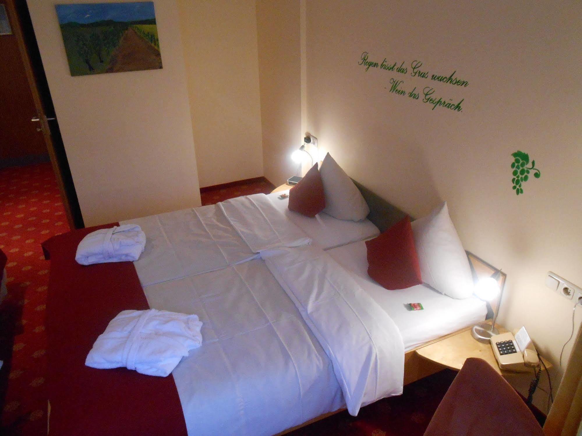 Muehlenthalers Park Hotel Konz Extérieur photo